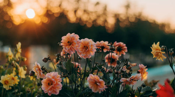 Why We Believe Everything Good Starts with Mother Nature