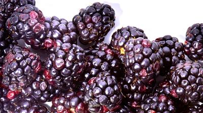 Why We're Obsessed with the Benefits of Blackberries